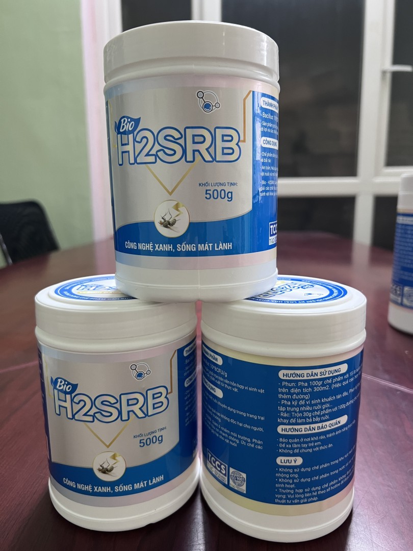 H2SRB diệt ruồi 500g